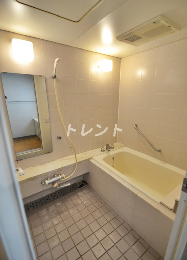 パラシオベラヴィスタ【PALACIO BELA VISTA】-403