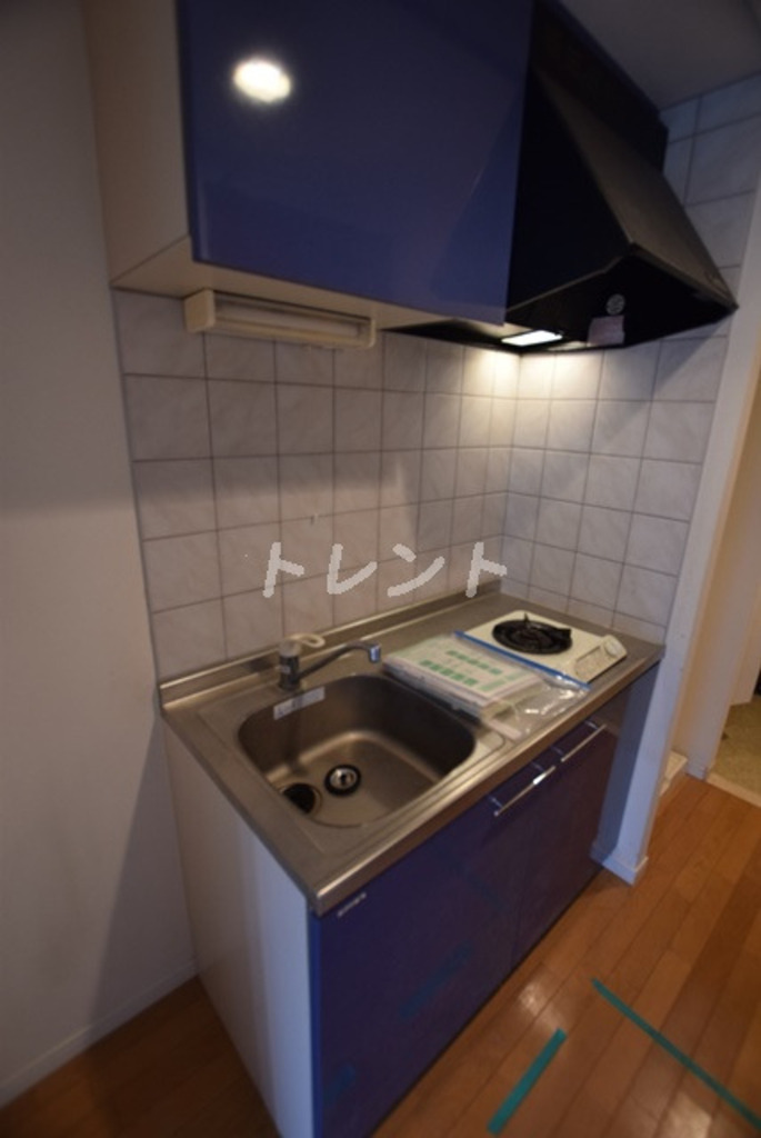 エコロジー白山レジデンス-205