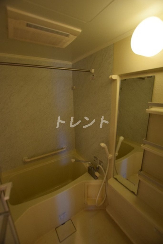 エコロジー白山レジデンス-205