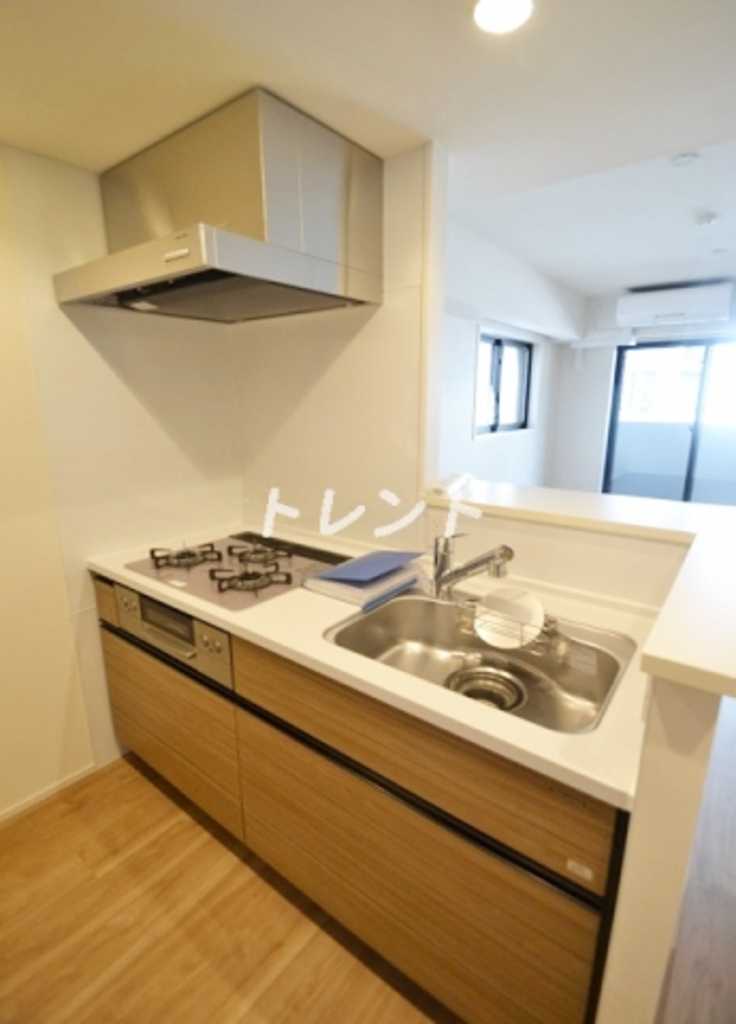 ラミアカーサ東中野-507