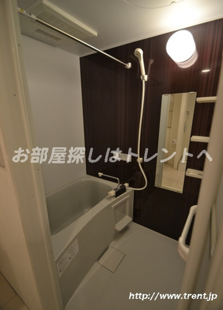 ソウ高田馬場Ⅱ【SOU高田馬場Ⅱ】-301