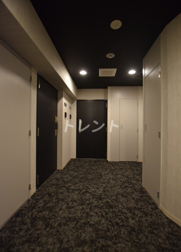 ライトテラス秋葉原-301