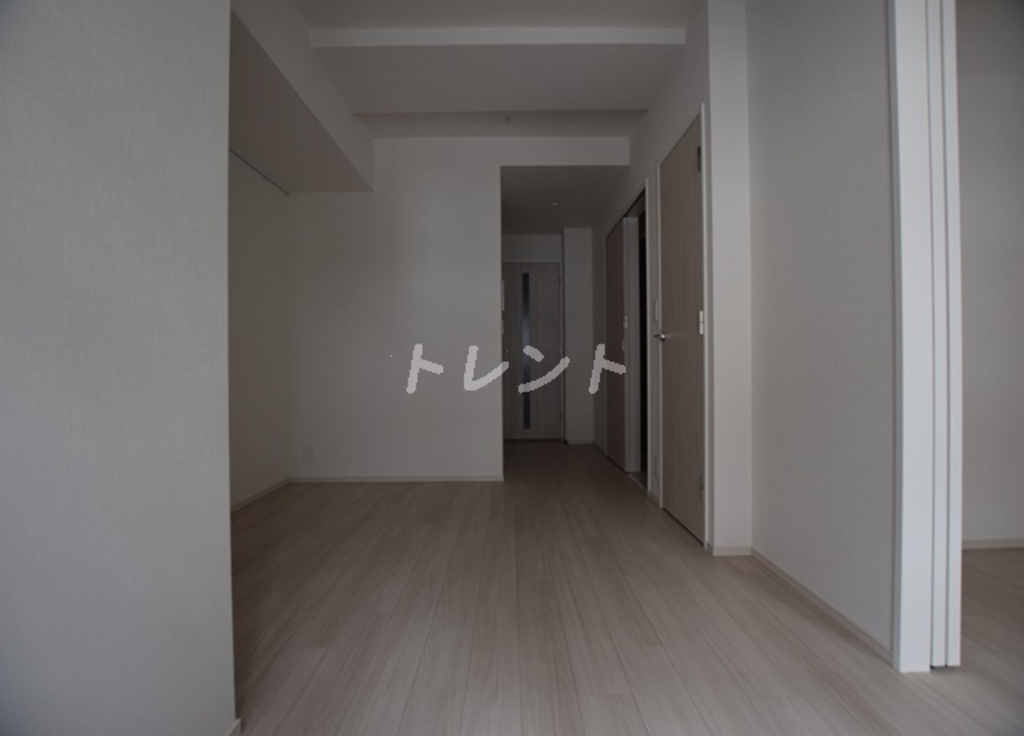 ライトテラス秋葉原-301