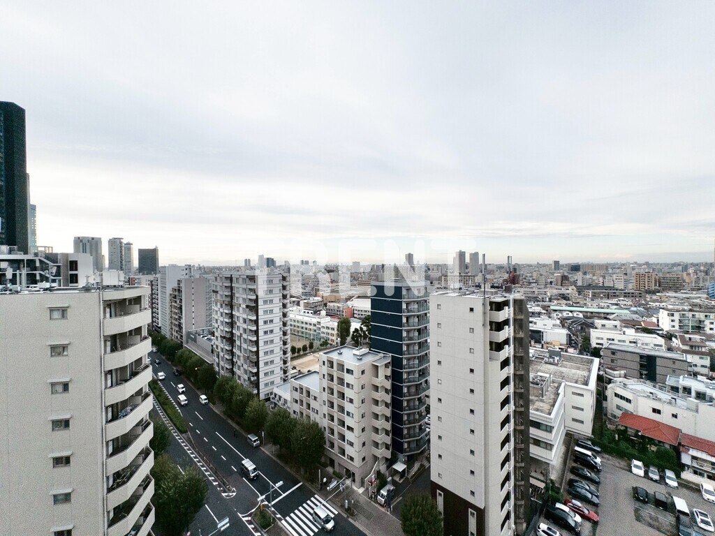 プリマステラ-1302