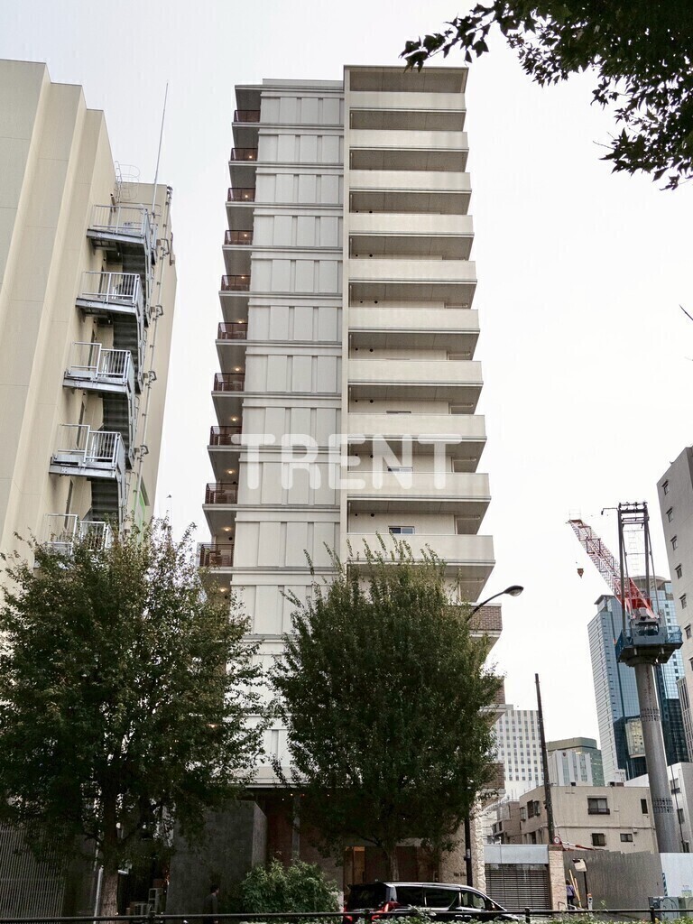 プリマステラ-703