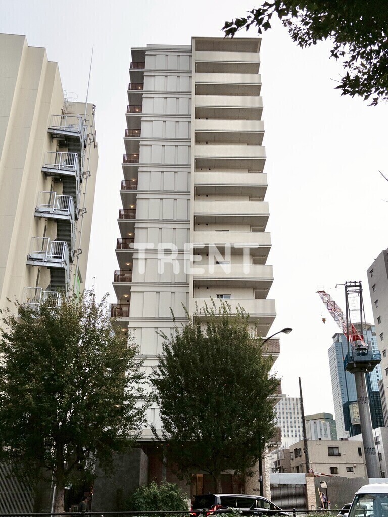 プリマステラ-202