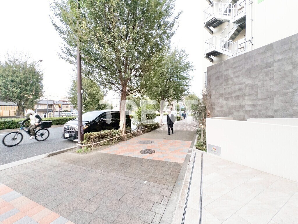 プリマステラ-605