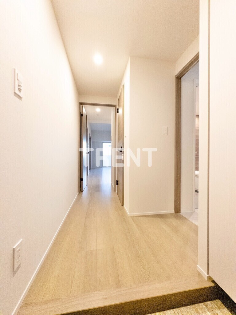 プリマステラ-1205