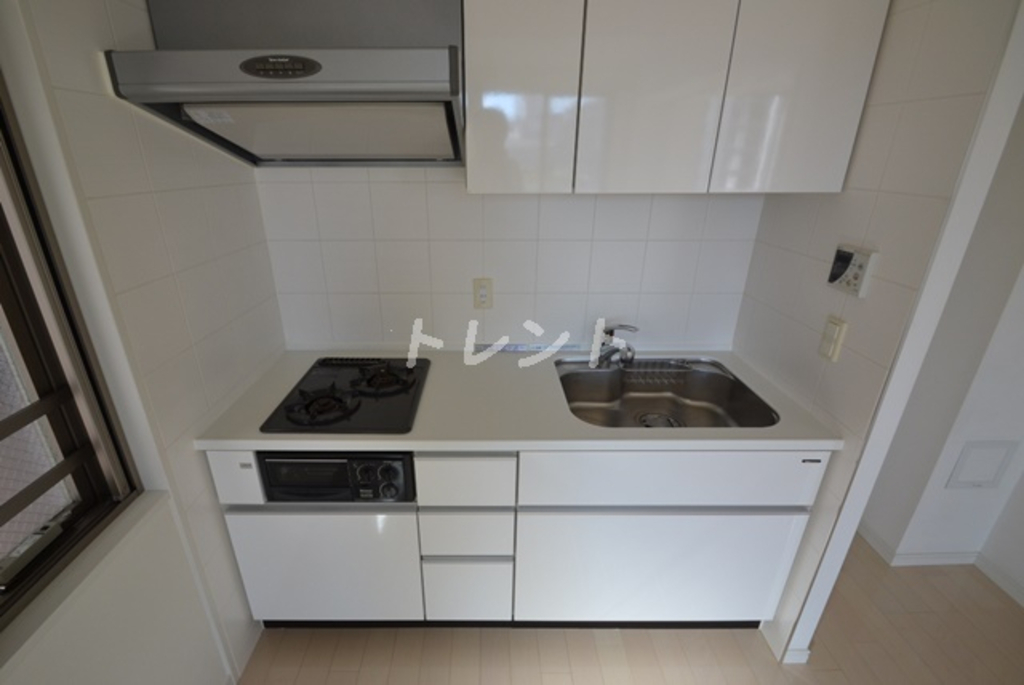 ダイナシティ新宿若松町-1202