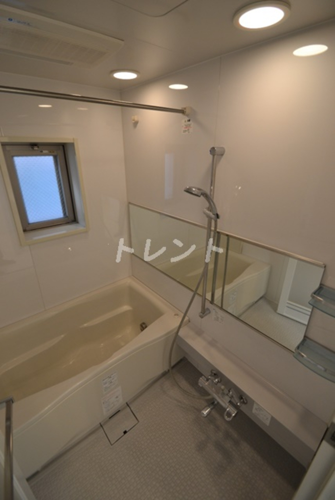 ダイナシティ新宿若松町-1202