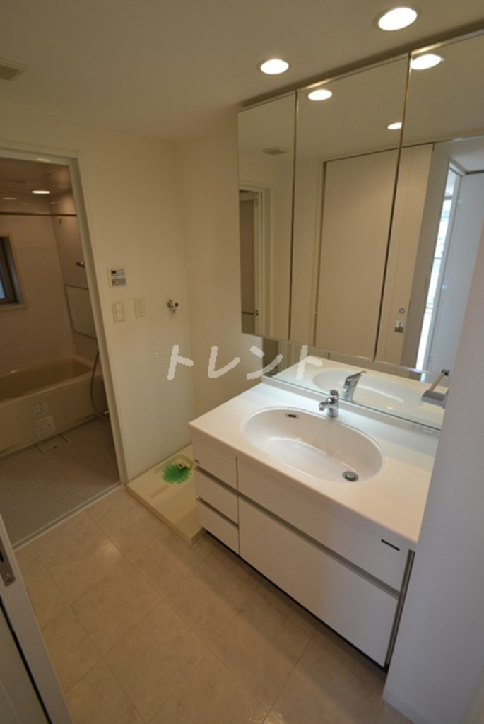 ダイナシティ新宿若松町-1202