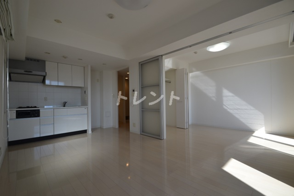 ダイナシティ新宿若松町-1202