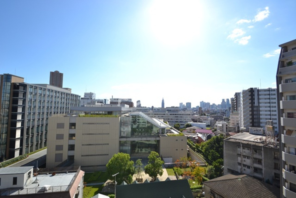 ダイナシティ新宿若松町-1202