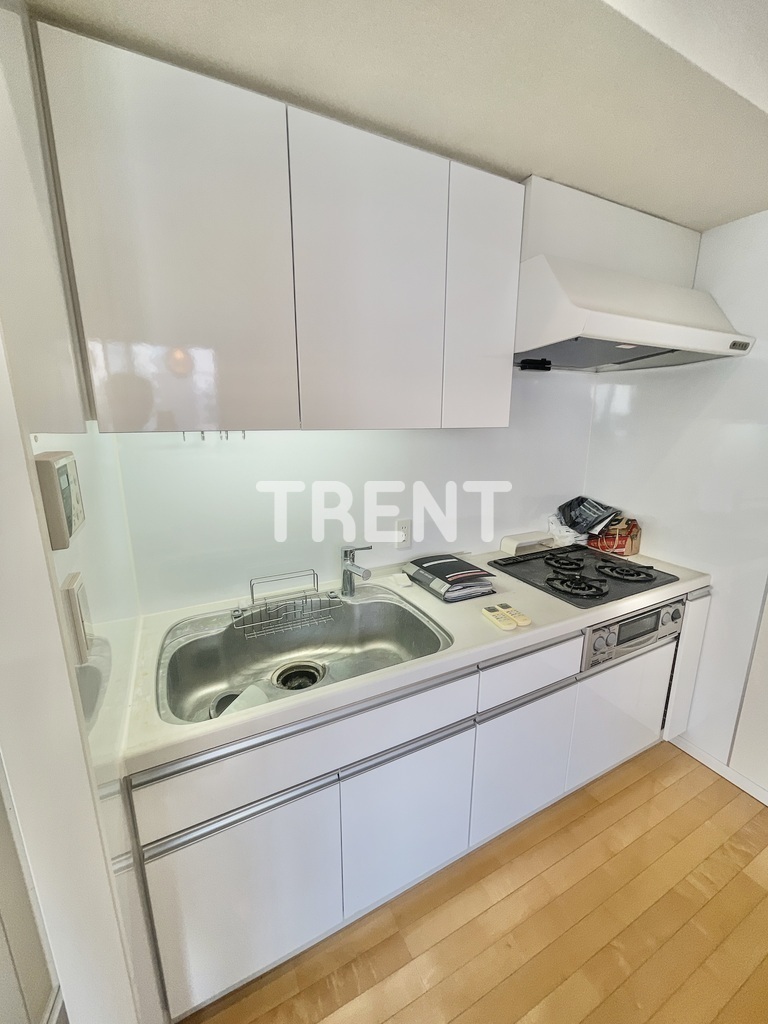 パークアクシス渋谷桜丘サウス-1201