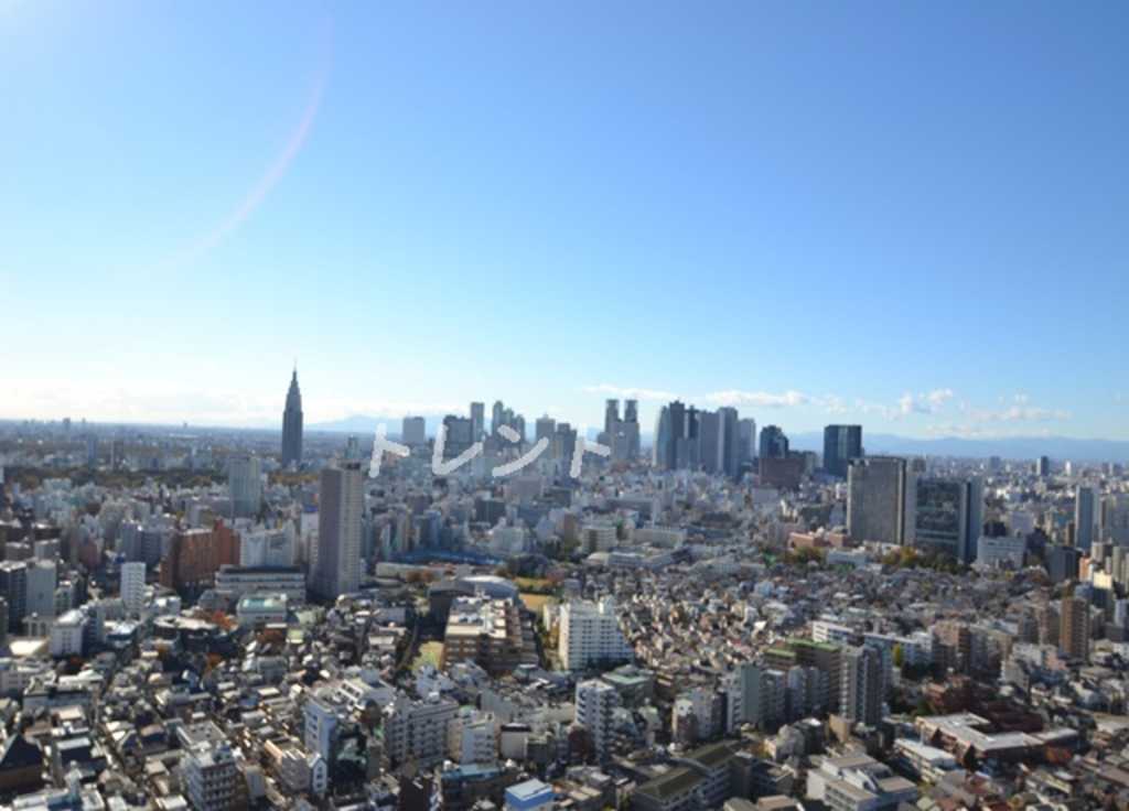 河田町ガーデンクラブフロア-3108