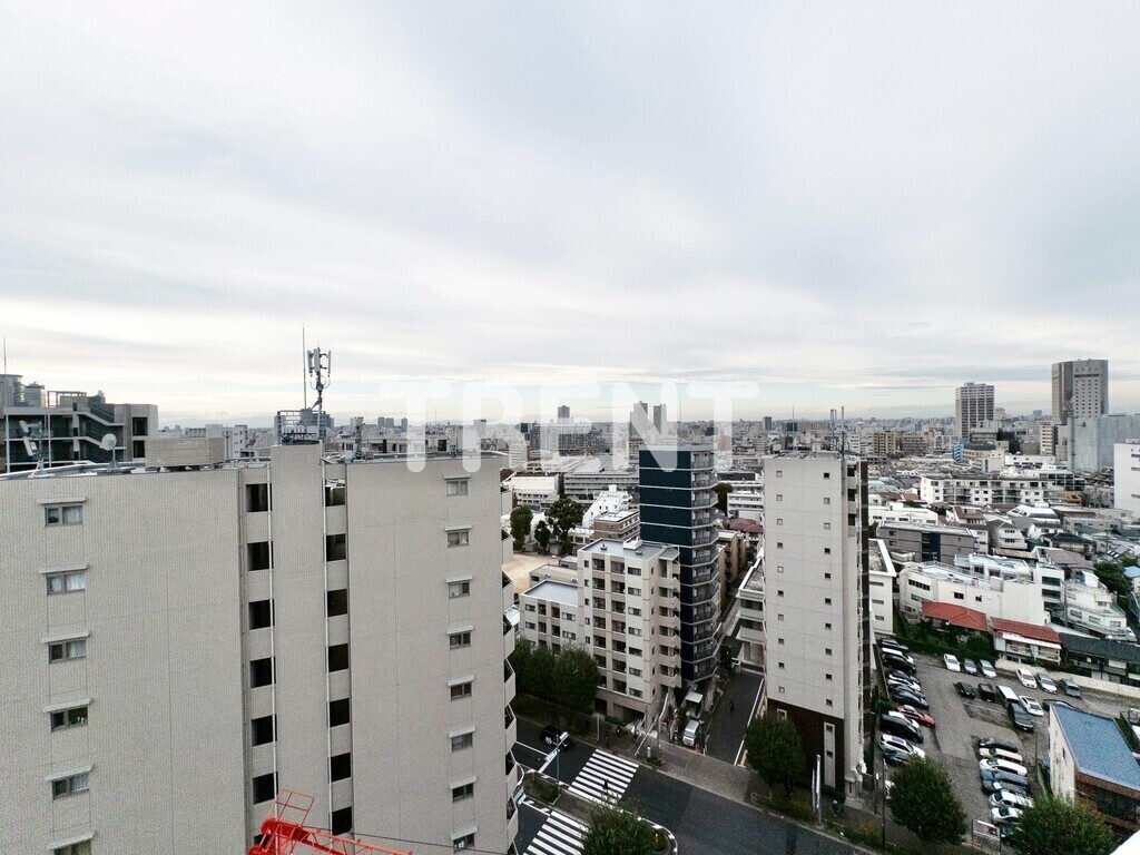 プリマステラ-1402