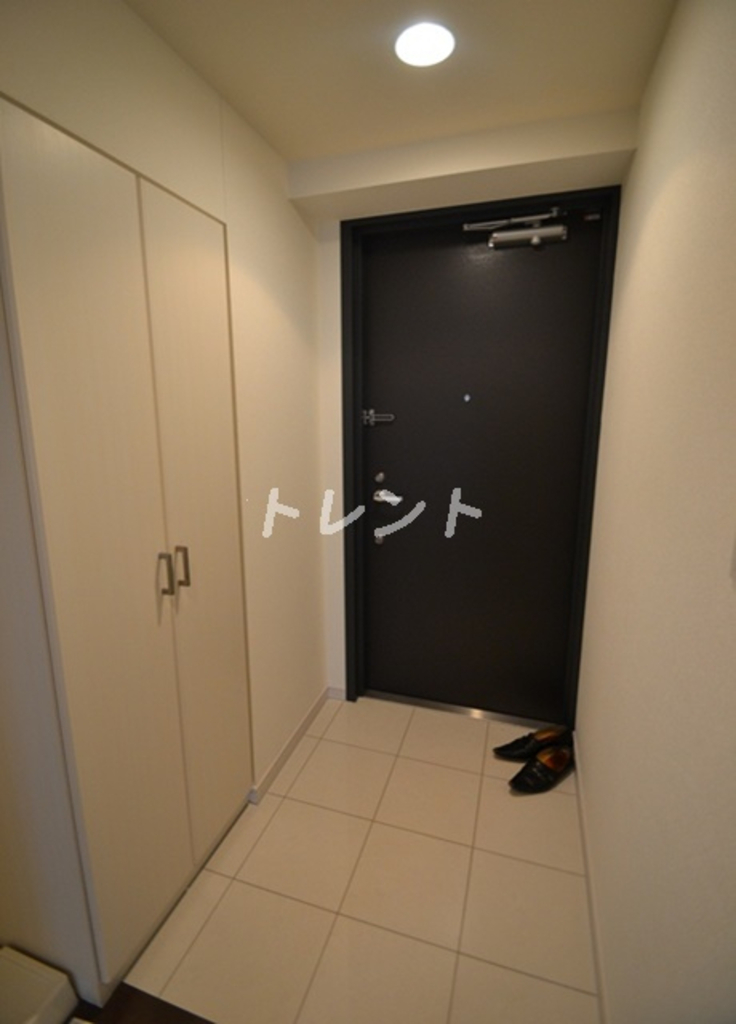 エスティメゾン東新宿-101