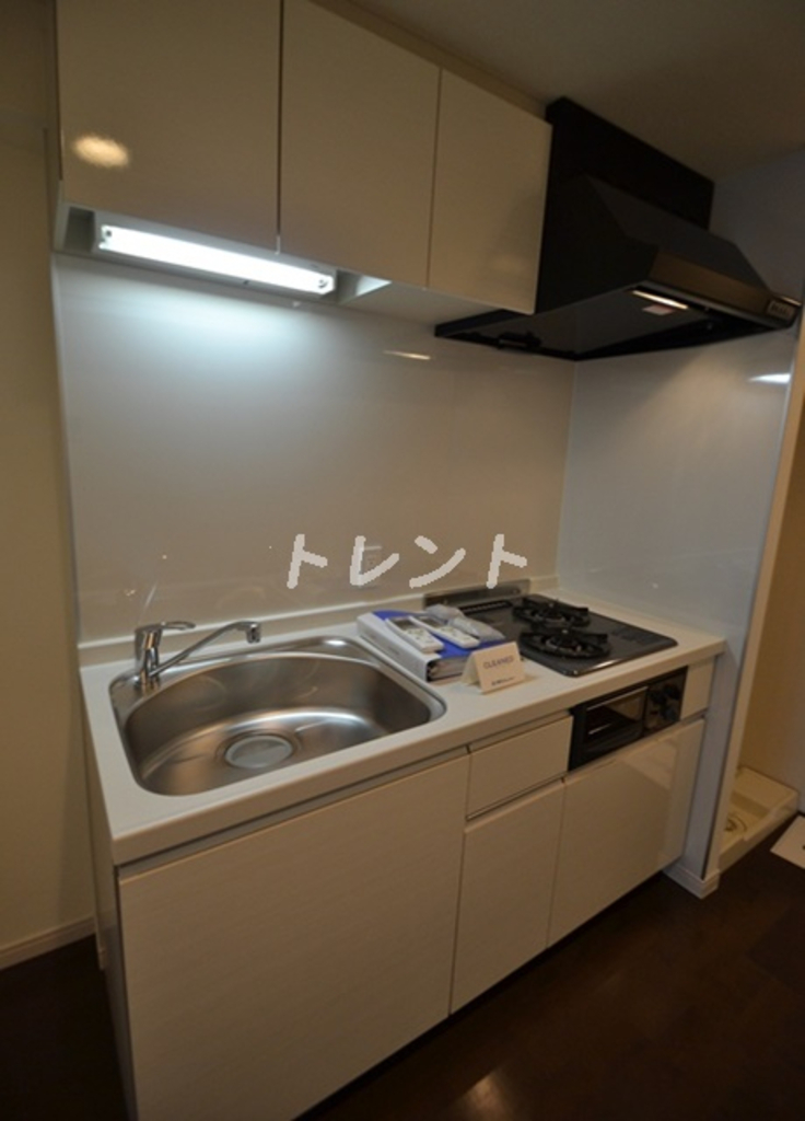 エスティメゾン東新宿-101