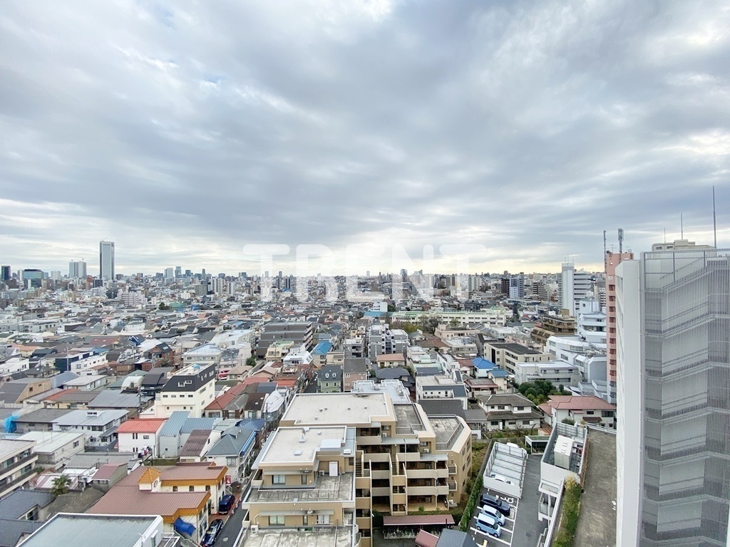 ザパークハビオ新中野-1101