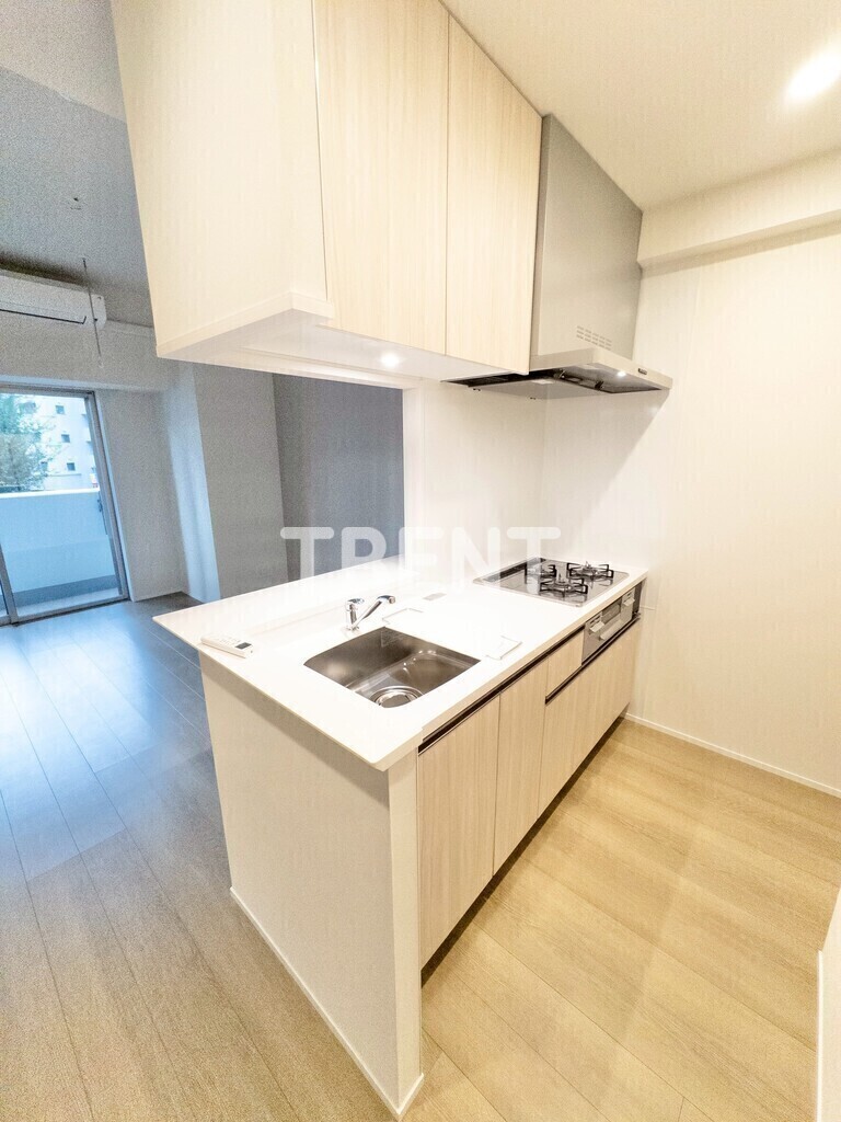 プリマステラ-302