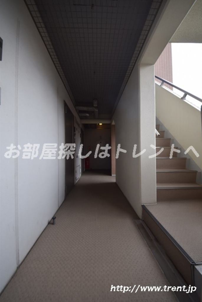 シエル白山B館-301