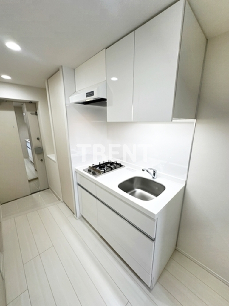 ザプレミアムキューブG東中野-409