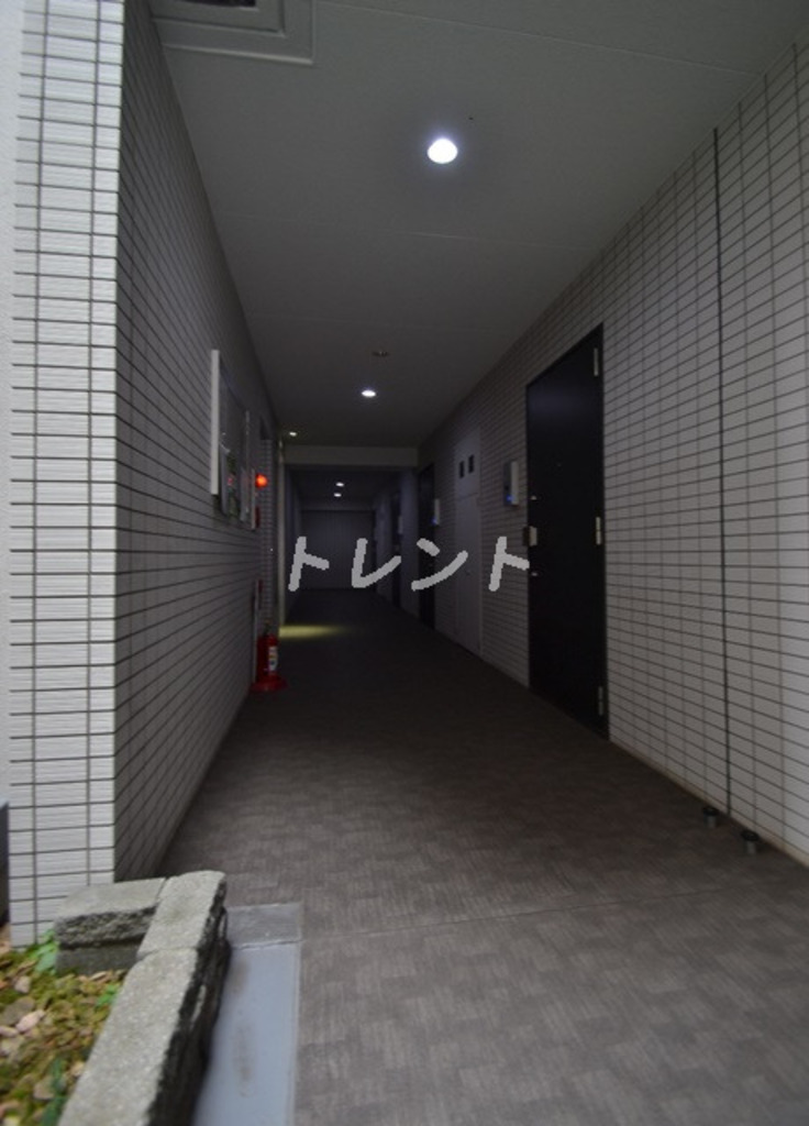 プレミアムキューブ新中野-502