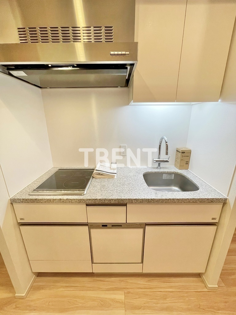 ザパークハウス西新宿タワー60-611