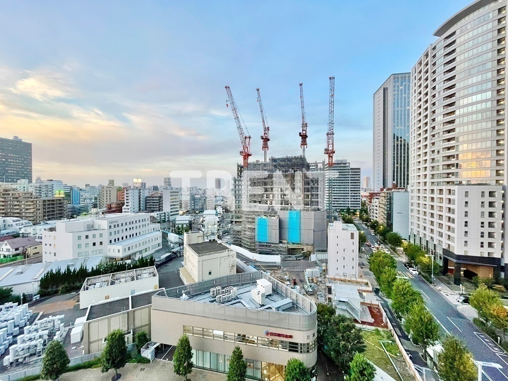 ザパークハウス西新宿タワー60-611