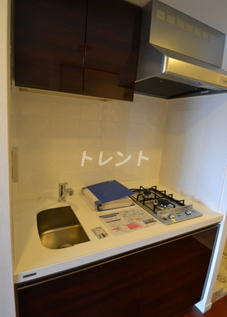 ガリシア新宿ノース【ガリシア新宿North】-203