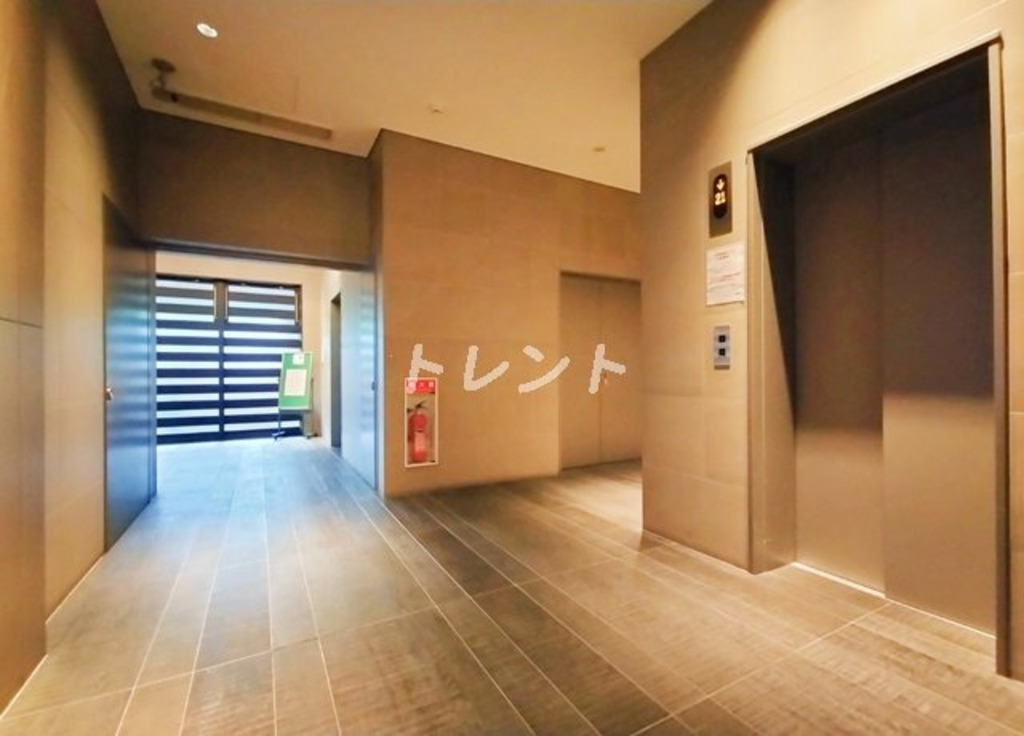 レグノセレーノ-1904