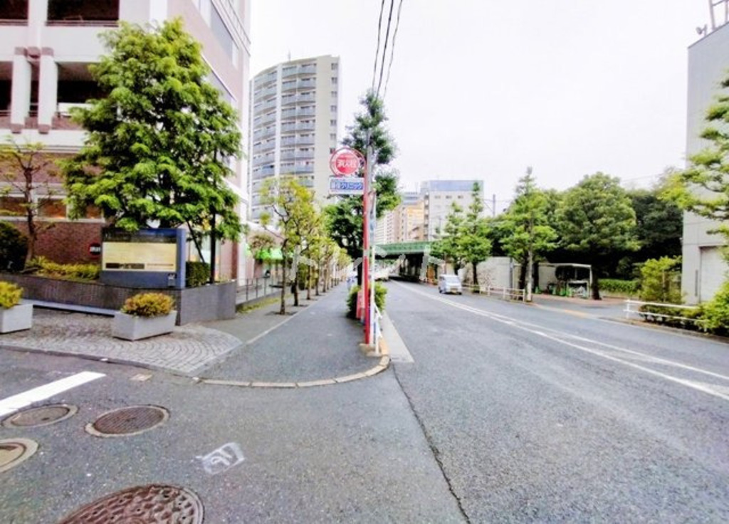 レグノセレーノ-1904