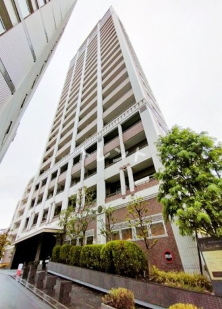 レグノセレーノ-1904