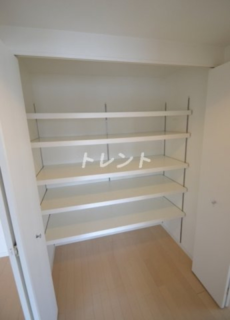 レグノセレーノ-1904