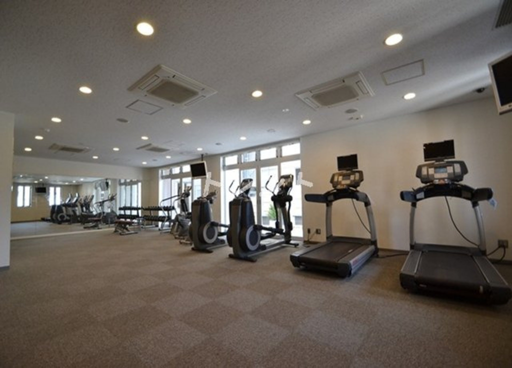 レグノセレーノ-1904