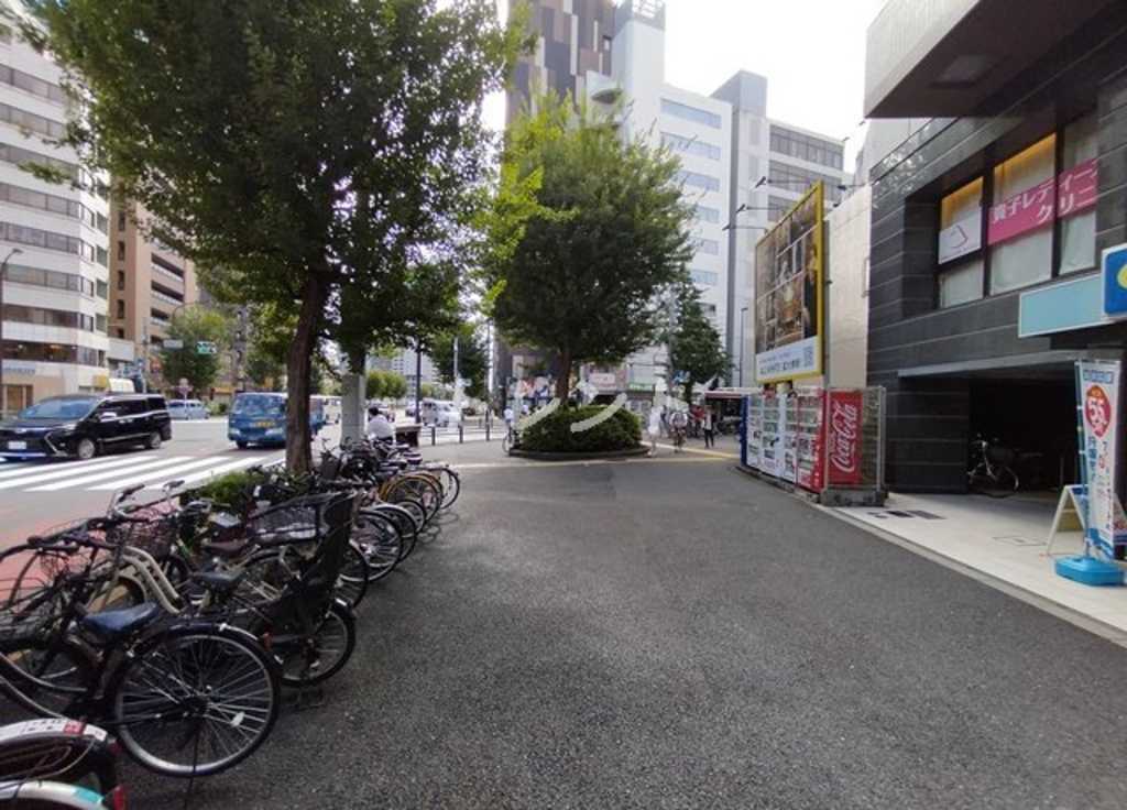 カメリアコート新宿-1101