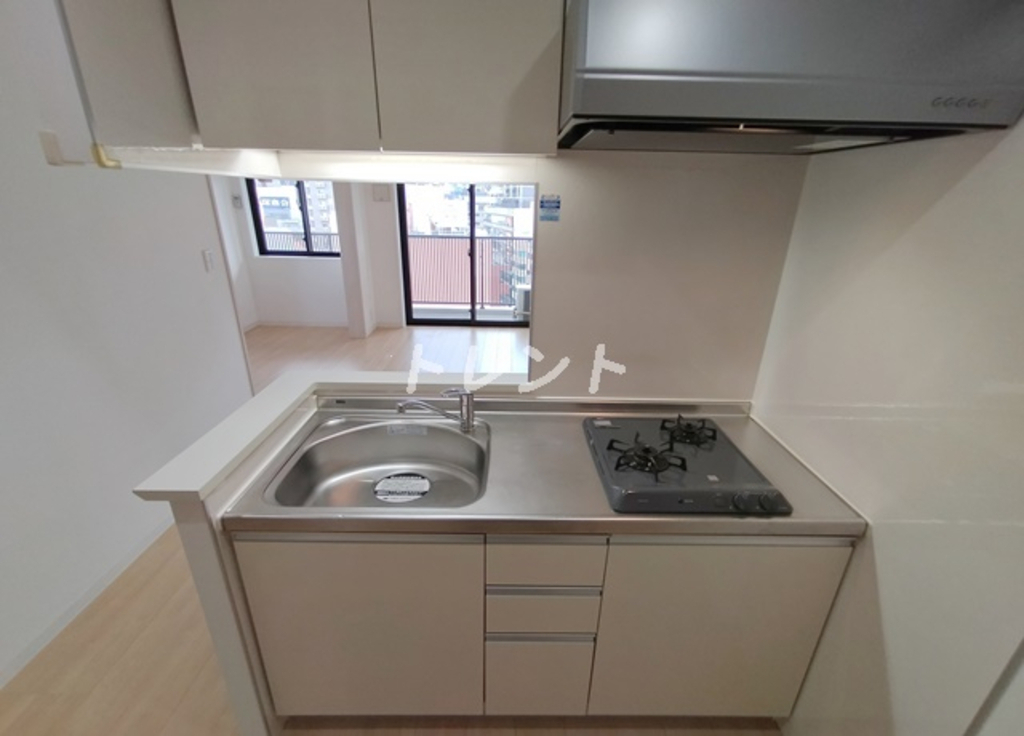 カメリアコート新宿-1101