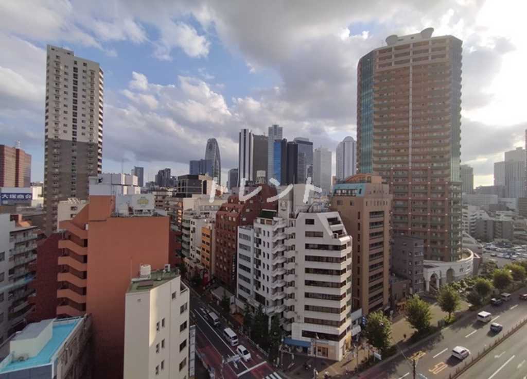 カメリアコート新宿-1101