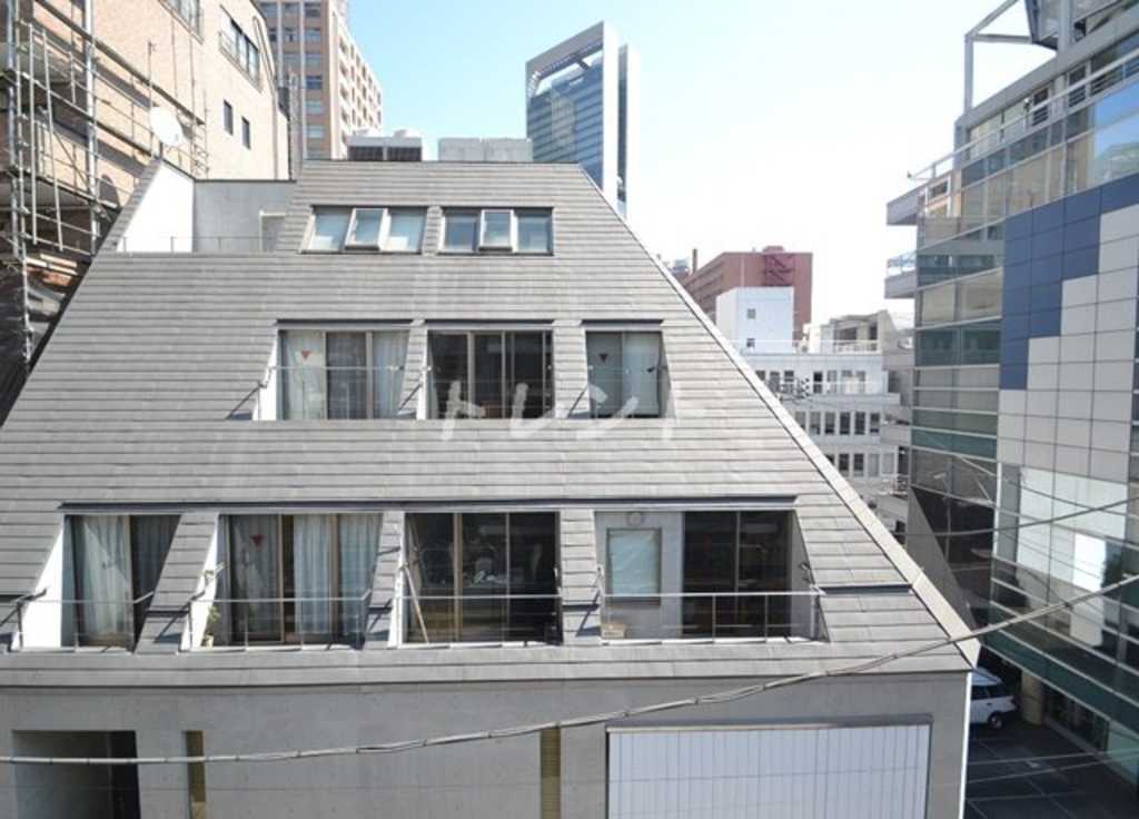 ニューリバーシンジュク【NewRiverShinjuku】-602