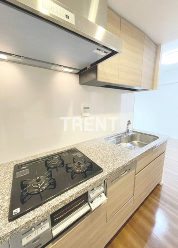 ザパークハウス新宿柏木-601