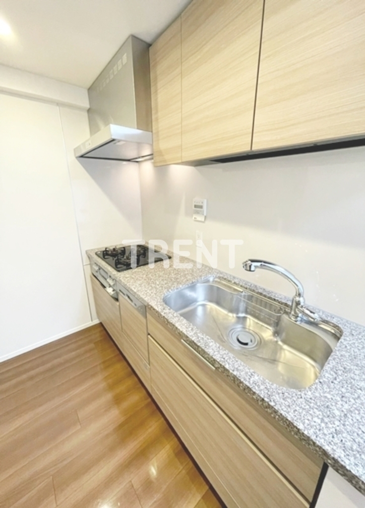 ザパークハウス新宿柏木-601