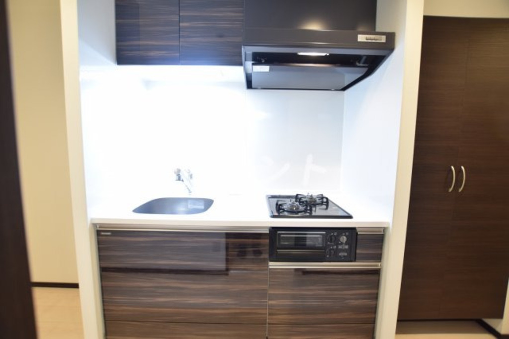 ロイジェント九段-502