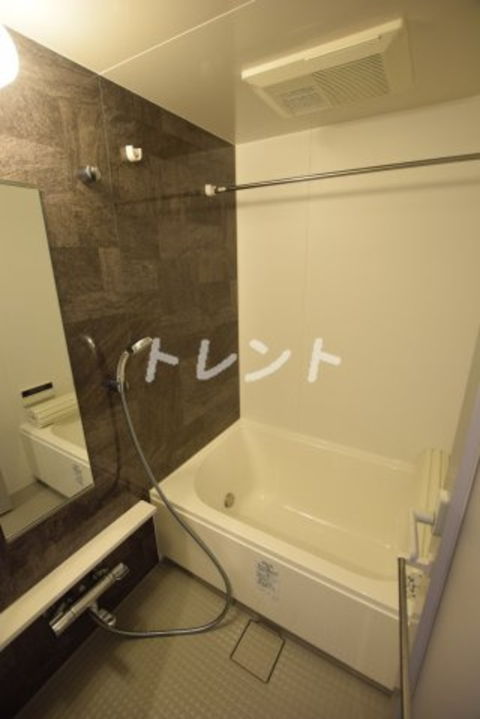 ロイジェント九段-502