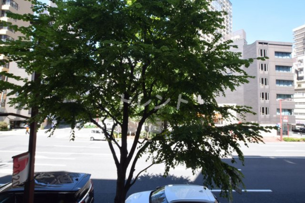 ロイジェント九段-502