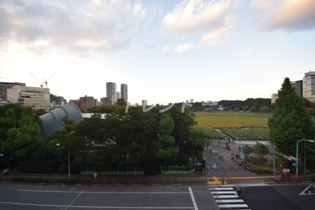 池之端加茂ビルA-603