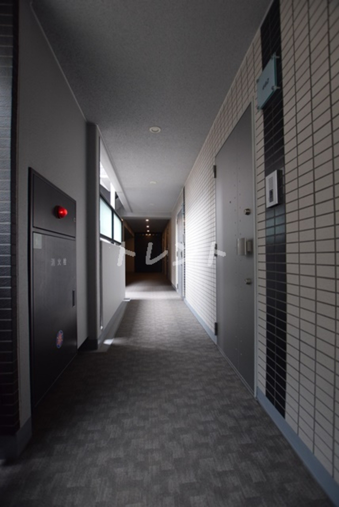 ディップス神楽坂【DIPS神楽坂】-206