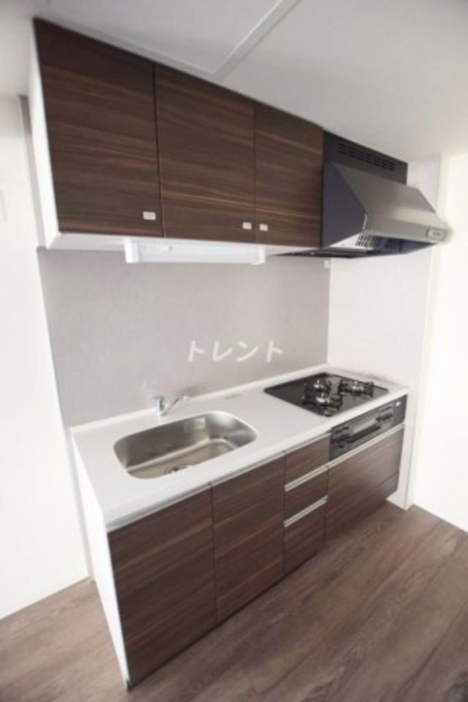 テレジャンデール護国寺EAST-303