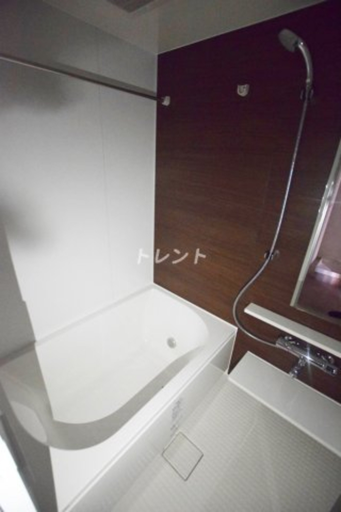 テレジャンデール護国寺EAST-303