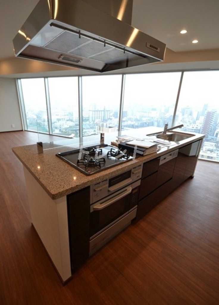 コンフォリア新宿イーストサイドタワー-1116