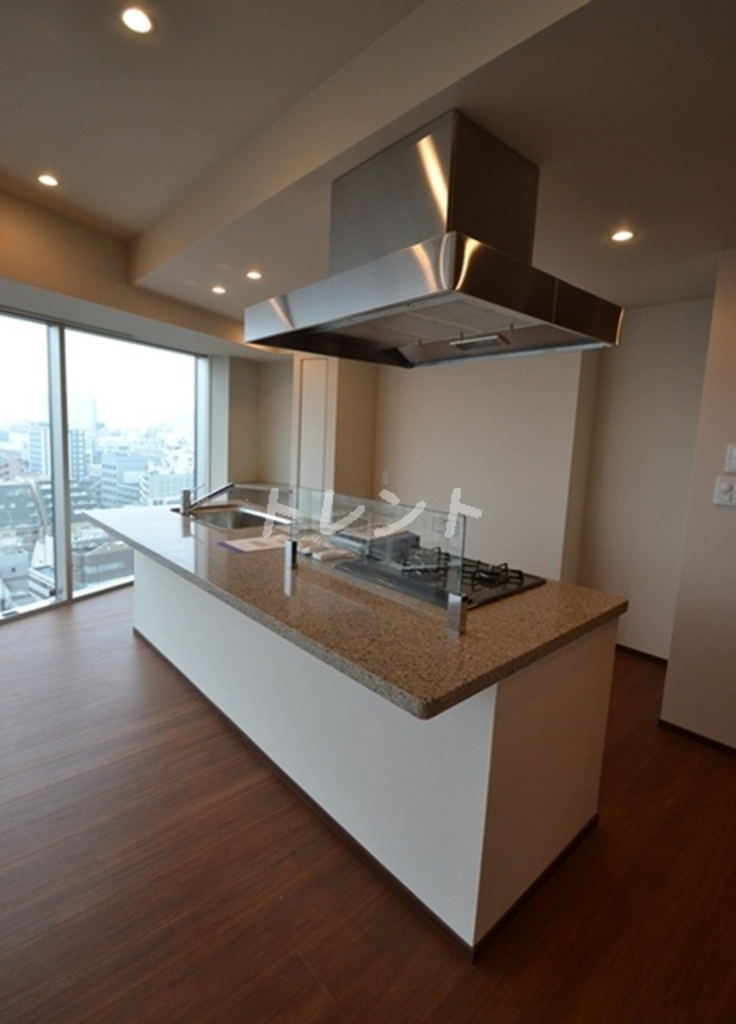 コンフォリア新宿イーストサイドタワー-1116